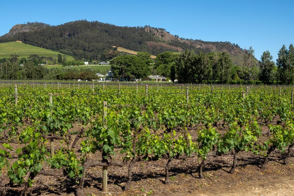Auberge Clermont Franschhoek Eksteriør bilde