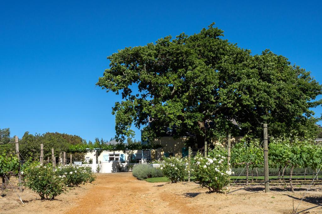 Auberge Clermont Franschhoek Eksteriør bilde