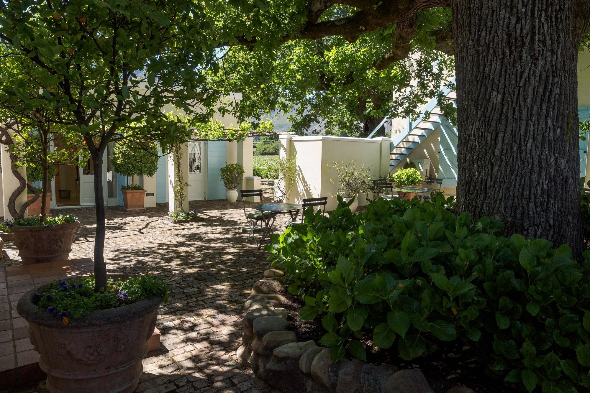 Auberge Clermont Franschhoek Eksteriør bilde