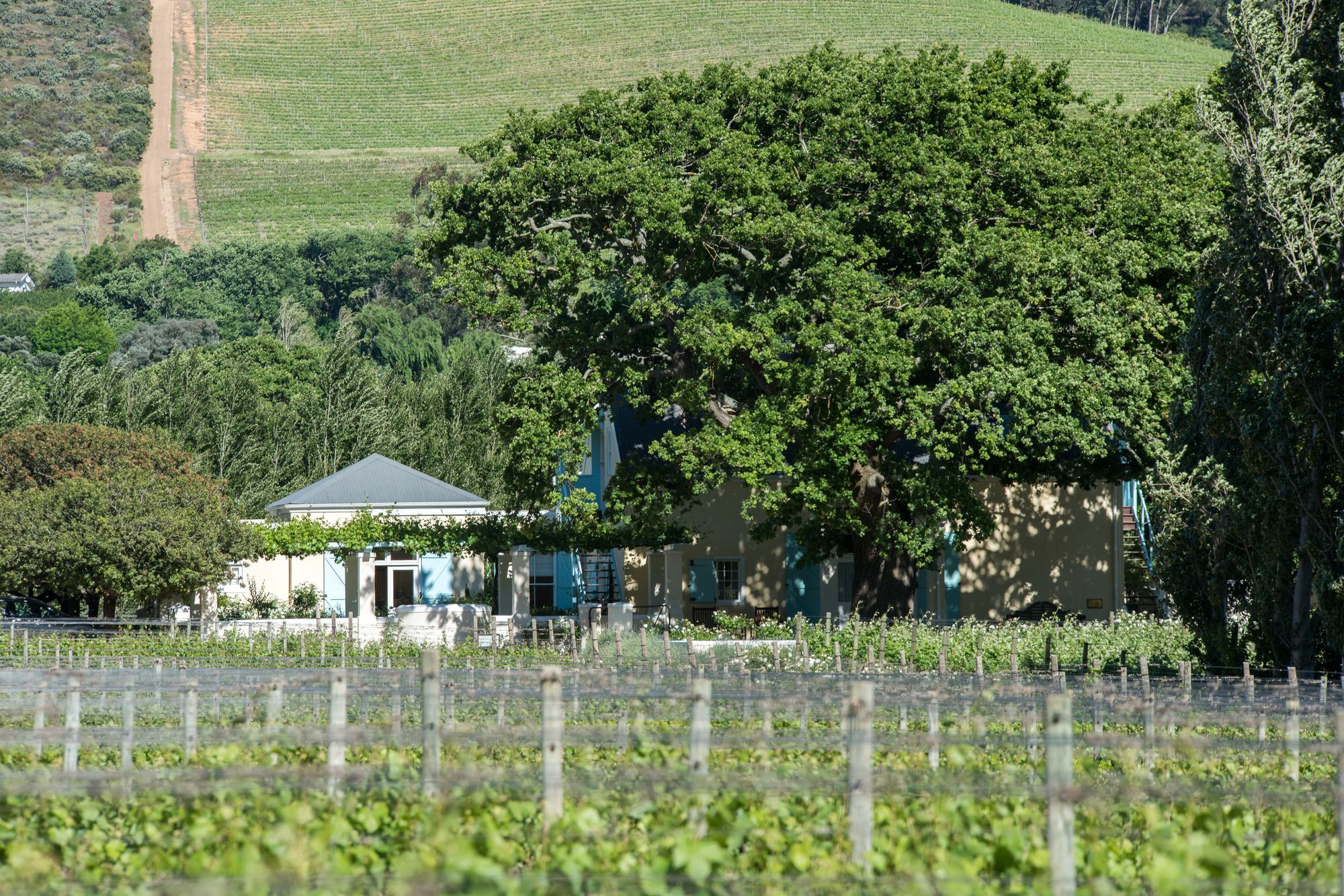 Auberge Clermont Franschhoek Eksteriør bilde